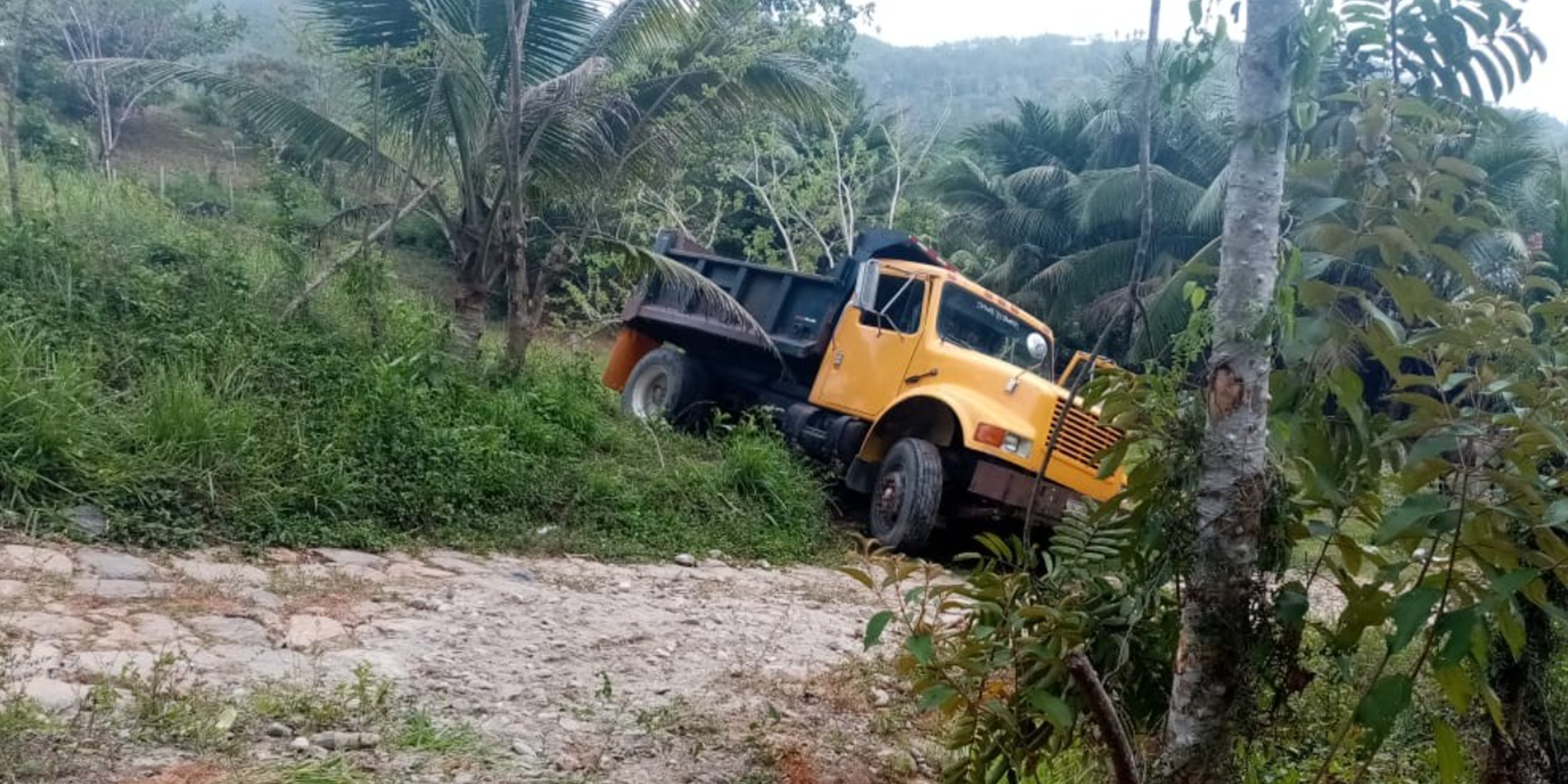Conductor fallece por desperfectos mecánicos